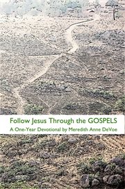 Follow Jesus Through the Gospels : A One-Year Devotional cover image