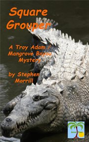 Square Grouper cover image