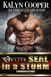 SEAL in a storm cover image