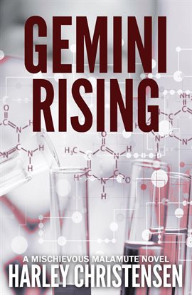 Cover image for Gemini Rising