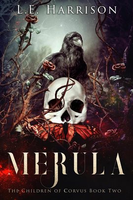 Cover image for Merula