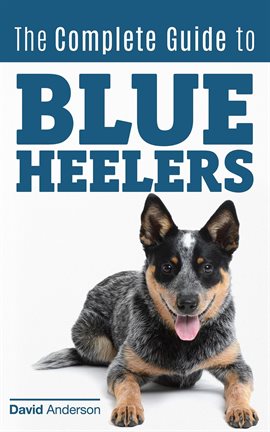 Cover image for The Complete Guide to Blue Heelers - aka The Australian Cattle Dog. Learn About Breeders, Finding