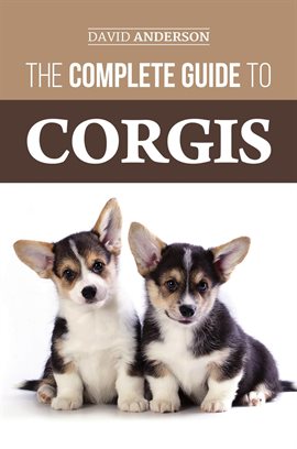 Cover image for The Complete Guide to Corgis: Everything to Know About Both the Pembroke Welsh and Cardigan Welsh