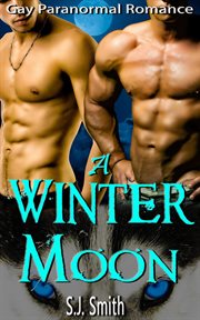 A winter moon. Gay Paranormal Romance cover image