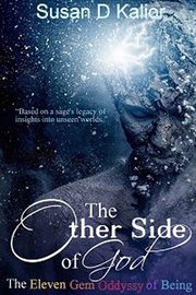 The other side of god: the eleven gem odyssey of being cover image