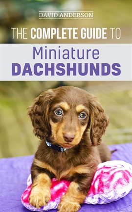 Cover image for The Complete Guide to Miniature Dachshunds: A Step-by-Step Guide to Successfully Raising Your New