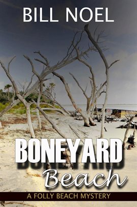 Cover image for Boneyard Beach
