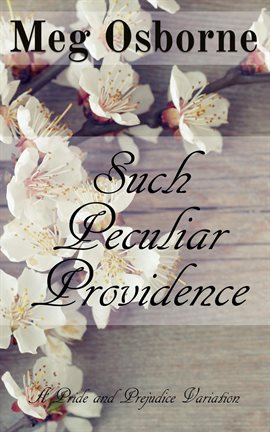 Cover image for Such Peculiar Providence