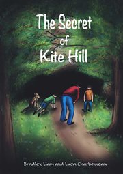 The secret of kite hill cover image