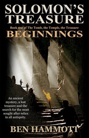 Solomon's treasure: beginnings cover image