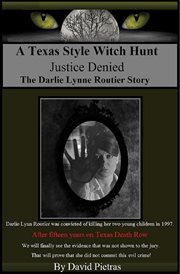 A Texas style witch hunt : justice denied, the Darlie Lynn Routier story cover image