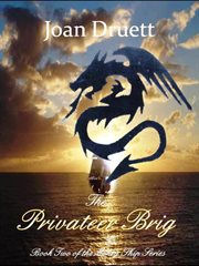 The privateer brig cover image