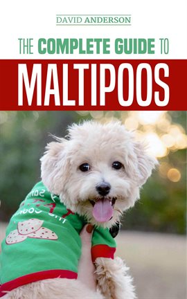 Cover image for The Complete Guide to Maltipoos: Everything You Need to Know Before Getting Your Maltipoo Dog