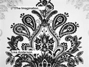 The imagination cover image