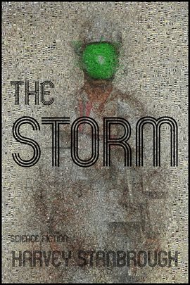 Cover image for The Storm