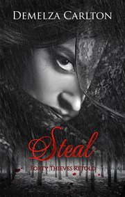 Steal: forty thieves retold cover image