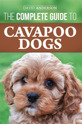 Cover image for The Complete Guide to Cavapoo Dogs: Everything You Need to Know to Sucessfully Raise and Train Yo