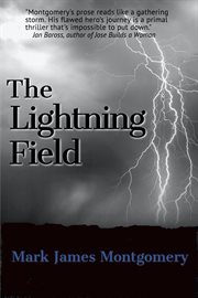 The lightning field cover image