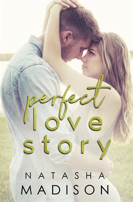 Cover image for Perfect Love Story