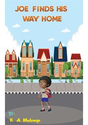 Joe finds his way home cover image