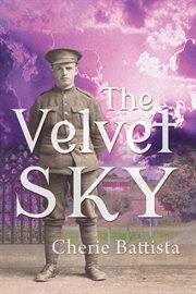 The Velvet Sky : in memory of Stephen Duckhouse cover image