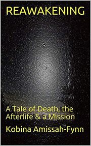Reawakening: a tale of death, the afterlife & a mission cover image