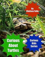 Curious about turtles cover image