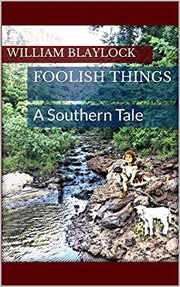 Foolish things: a southern tale cover image