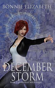 December storm cover image