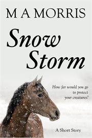 Snow storm cover image