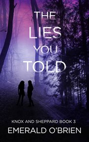 The lies you told cover image