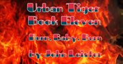 Urban tiger book eleven burn, baby, burn cover image
