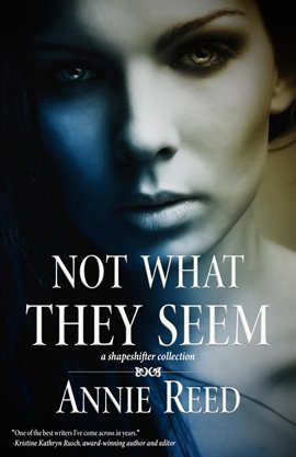 Cover image for Not What They Seem