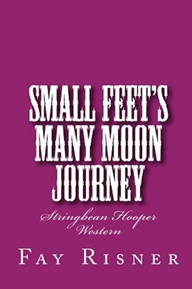 Cover image for Small Feet's Many Moon Journey