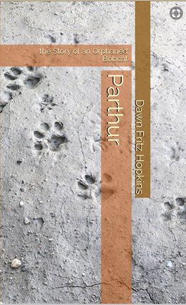 Cover image for Parthur; the Story of an Orphaned Bobcat