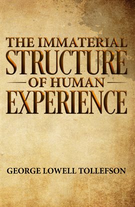 Cover image for The Immaterial Structure of Human Experience