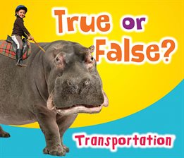 Cover image for True or False? Transportation
