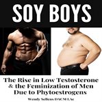 Soy Boys cover image