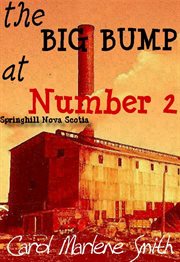 The Big Bump at Number 2 cover image