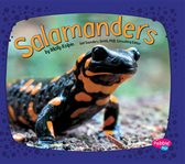 Salamanders cover image