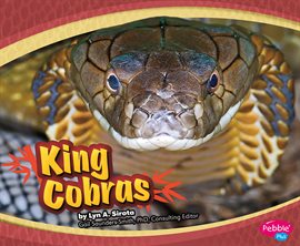 Cover image for King Cobras