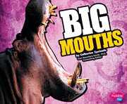 Big mouths cover image