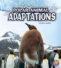 Cover image for Polar Animal Adaptations