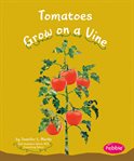 Tomatoes grow on a vine cover image