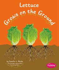 Cover image for Lettuce Grows on the Ground