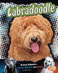 Labradoodle : a cross between a Labrador Retriever and a Poodle cover image