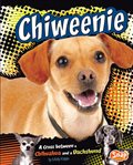 Chiweenie. A Cross Between a Chihuahua and a Dachshund cover image