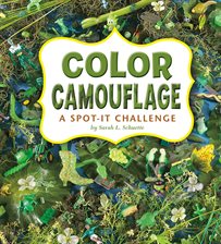 Cover image for Color Camouflage