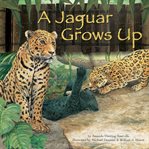 A jaguar grows up cover image