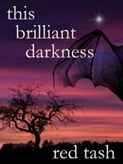 This brilliant darkness (a dark contemporary fantasy) cover image